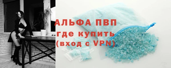 эйфоретик Баксан