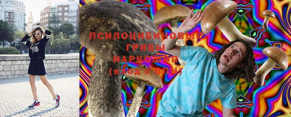 эйфоретик Баксан
