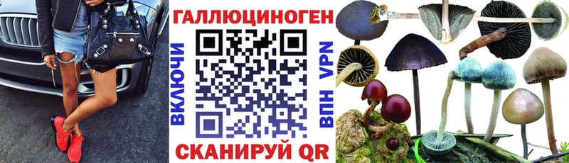 Псилоцибиновые грибы Psilocybine cubensis  Разумное 